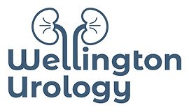 Wellington Urology - Omid Yassaie