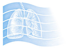 NZ Respiratory & Sleep Institute