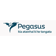 24 Hour Surgery Pegasus Health