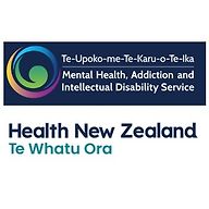 Community Mental Health Teams (General Adult) | MHAIDS