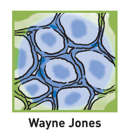 Dr Wayne Jones - General, Breast & Oncology Surgeon