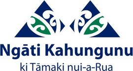 Ngāti Kahungunu ki Tāmaki nui-ā-Rua COVID-19 RATs Testing and Collection Site