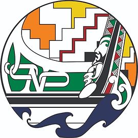 Te Roopu Tautoko Ki Te Tonga - Community Health & Social Services