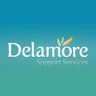 Delamore Support Services Ltd.