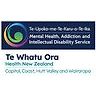 Ngā Tai Oranga | MHAIDS | Te Whatu Ora